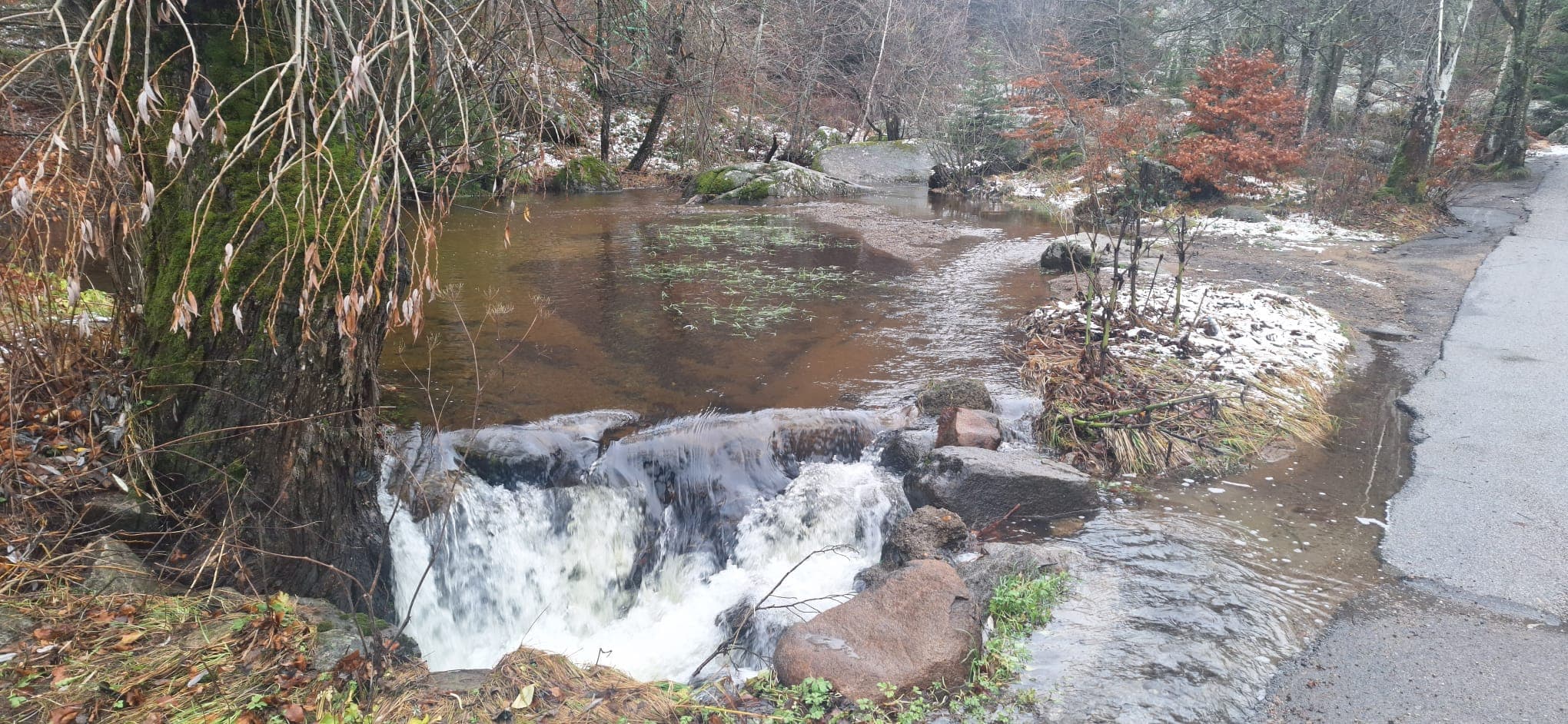 Day of Nature and Spa, Снимка 3