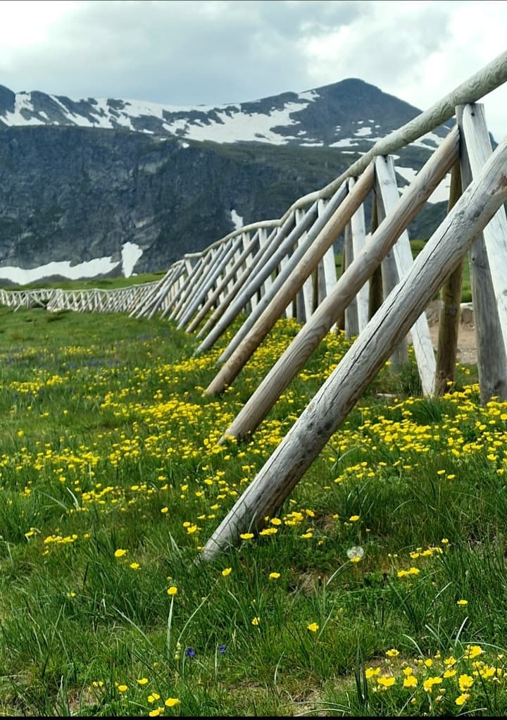 From Sofia: The famous Seven rila lakes - A Spectacular Guided Trek - 5